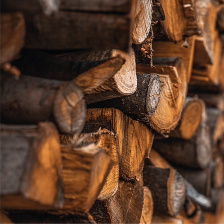 Sem título-2-09.png