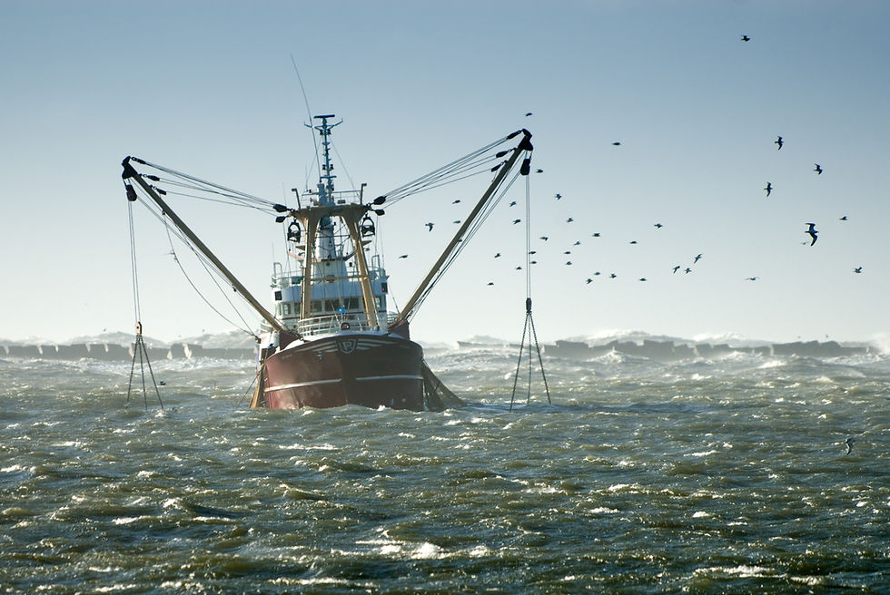 Fishing boat deploying gear in rough seas