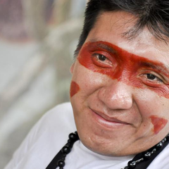 80º Festival de Veneza exibe ‘Mãri Hi - A Árvore do Sonho’, curta Yanomami premiado em Gramado