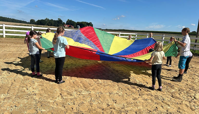 Team mit Schwungtuch Pferdehof