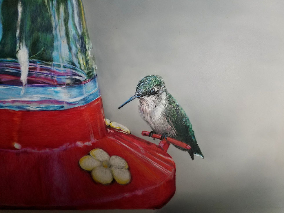 Thumbnail: Hummingbird on Feeder