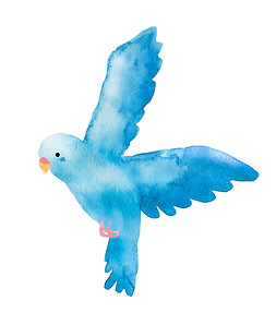青い鳥