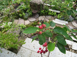 確かな技術と幅広い対応力