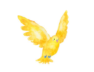 黄色い鳥