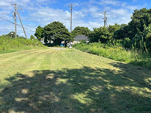 除草された土地