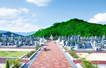 ●一般墓所