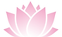 蓮の花