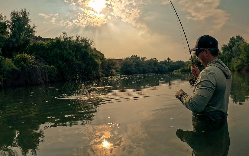 Private Access Fly Fishing New Mexico | Exclusive Guided Trips