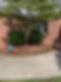 BDBDE579-4715-41E8-820F-031CABCD48EF.jpeg