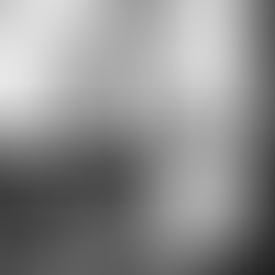 gibt es den sinn des Lebens?