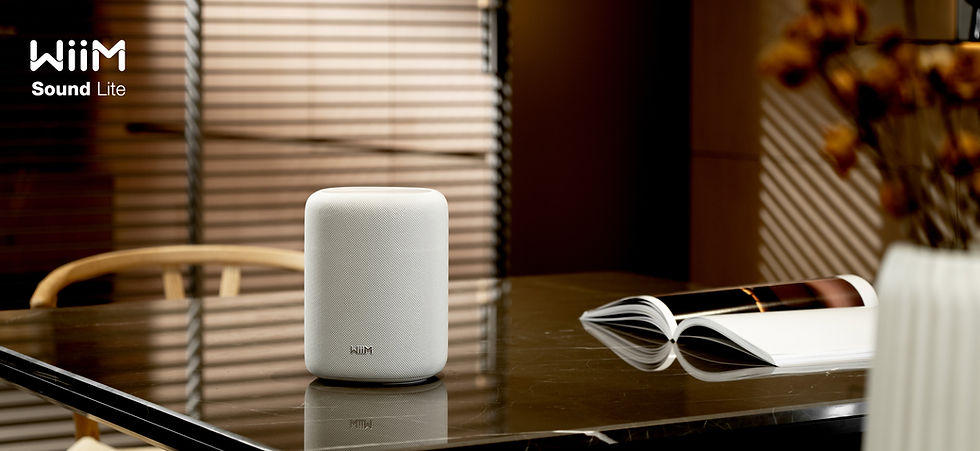 Picture of WiiM Sound Lite on the table