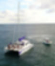 IMG_2794.jpeg