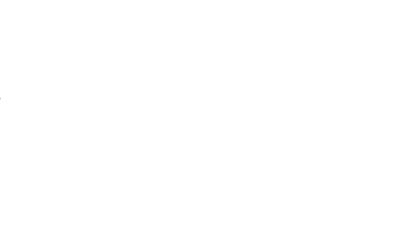 Zaidhachem-2_2-2.gif