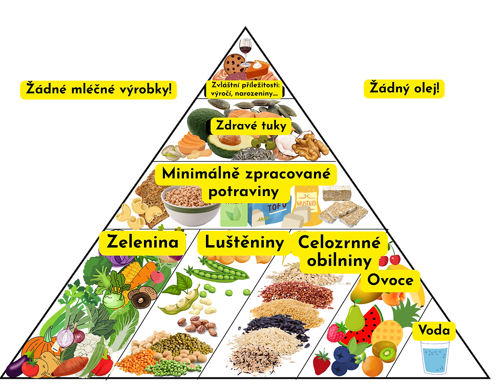 Pyramid of a diet for autoimmune disease