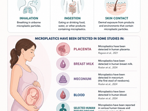 Microplastics in the Body: Risks and How to Reduce Exposure