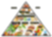 Dietary Pattern and Lifestyle Tips for the Prevention and Reversal of Chronic Disease