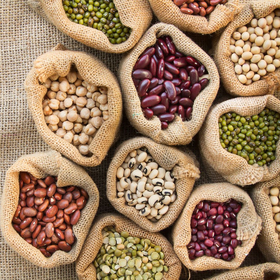 Different kinds of beans in bags