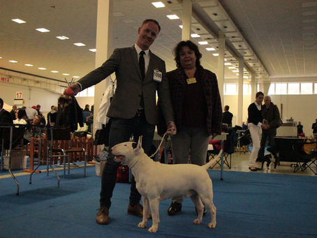 Medzinárodná výstava DUO NITRADOG 29.11.2014 a 30.11.2014