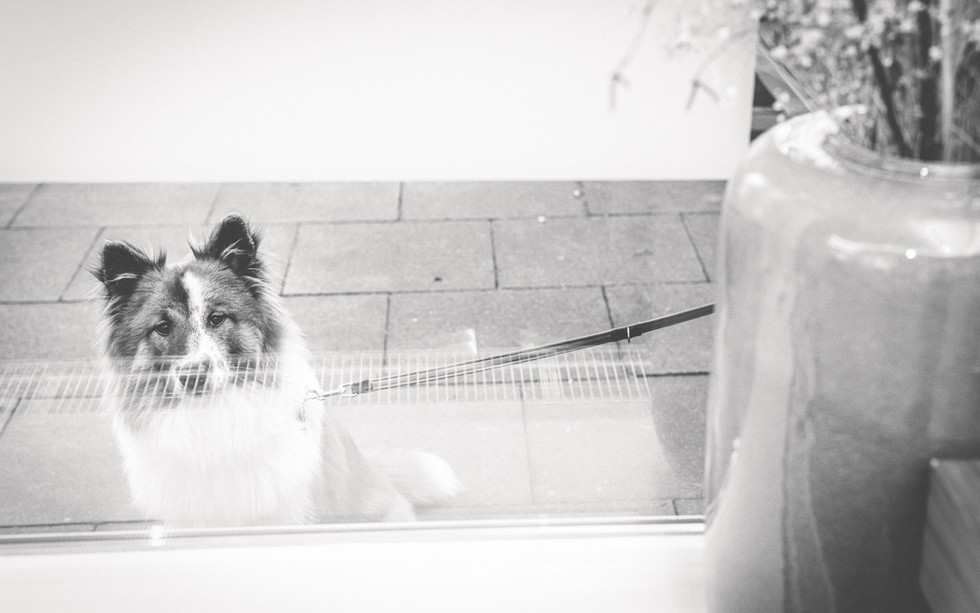 Kapper23082021-60.jpeg