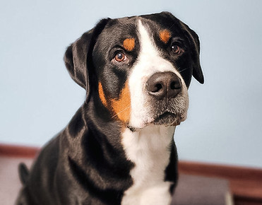 Waylon-BC.jpg
