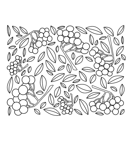 elderberry2_edited.png