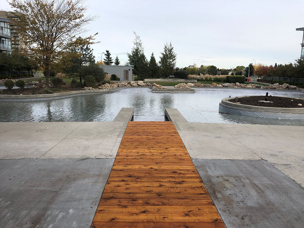 Behind the Project Regent Century Park Condominium Water Feature