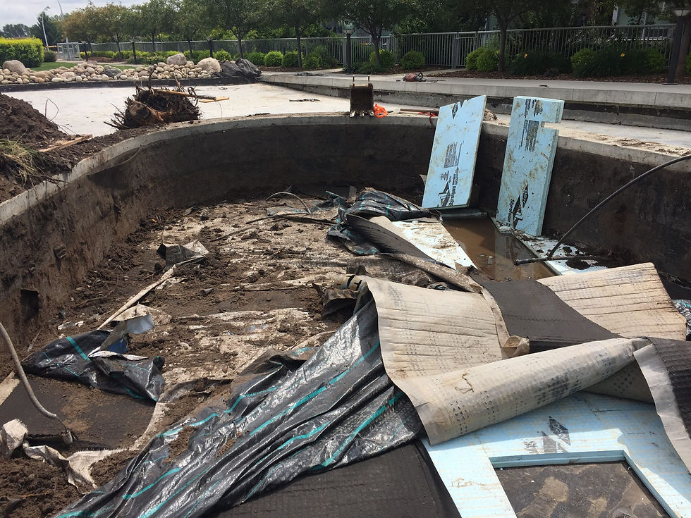 Behind the Project Regent Century Park Condominium Water Feature