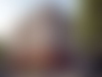 837 Beatty Street - Contextual Facades on Heritage Vertical Expansions