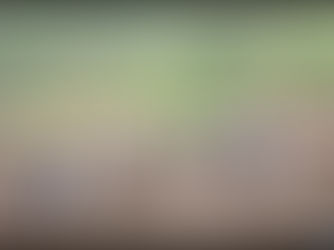 Sudani: Abantu barenga 1,000 bishwe n’inkangu