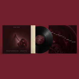 Music Album Design: LP Vinyl