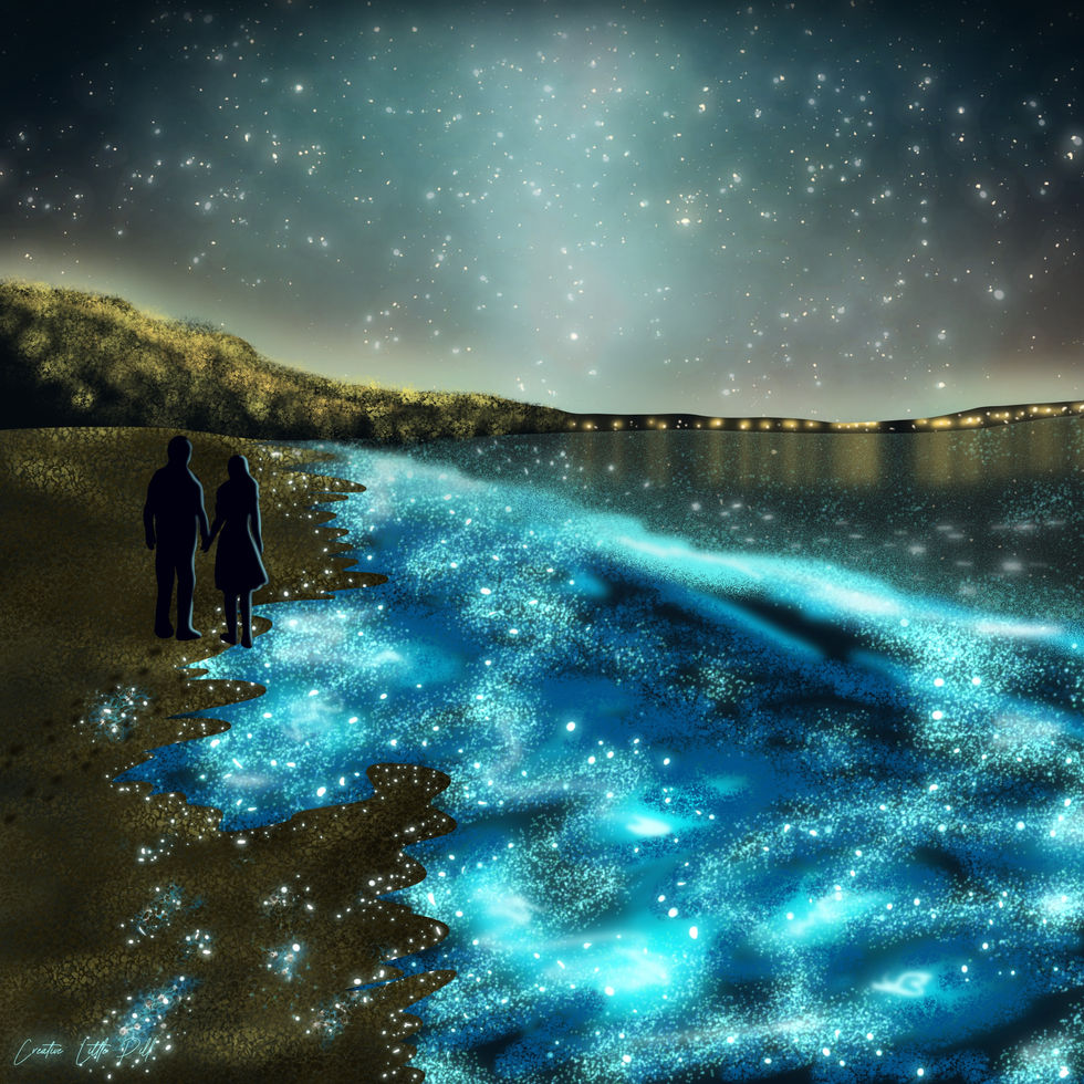 Jervis Bay Bioluminescence