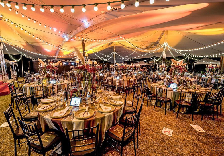 ANIMALS ASIA GALA DINNER 2015