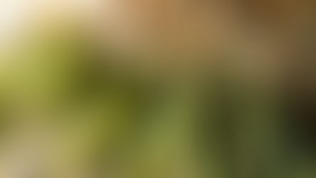 Comprar é fácil. Será?