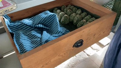 f1467a7b-0a2b-42be-93ab-8c7c607e5850.gif
