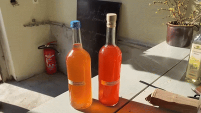 613c4a6c-5365-43ba-b1e7-9e1b12f9a420.gif