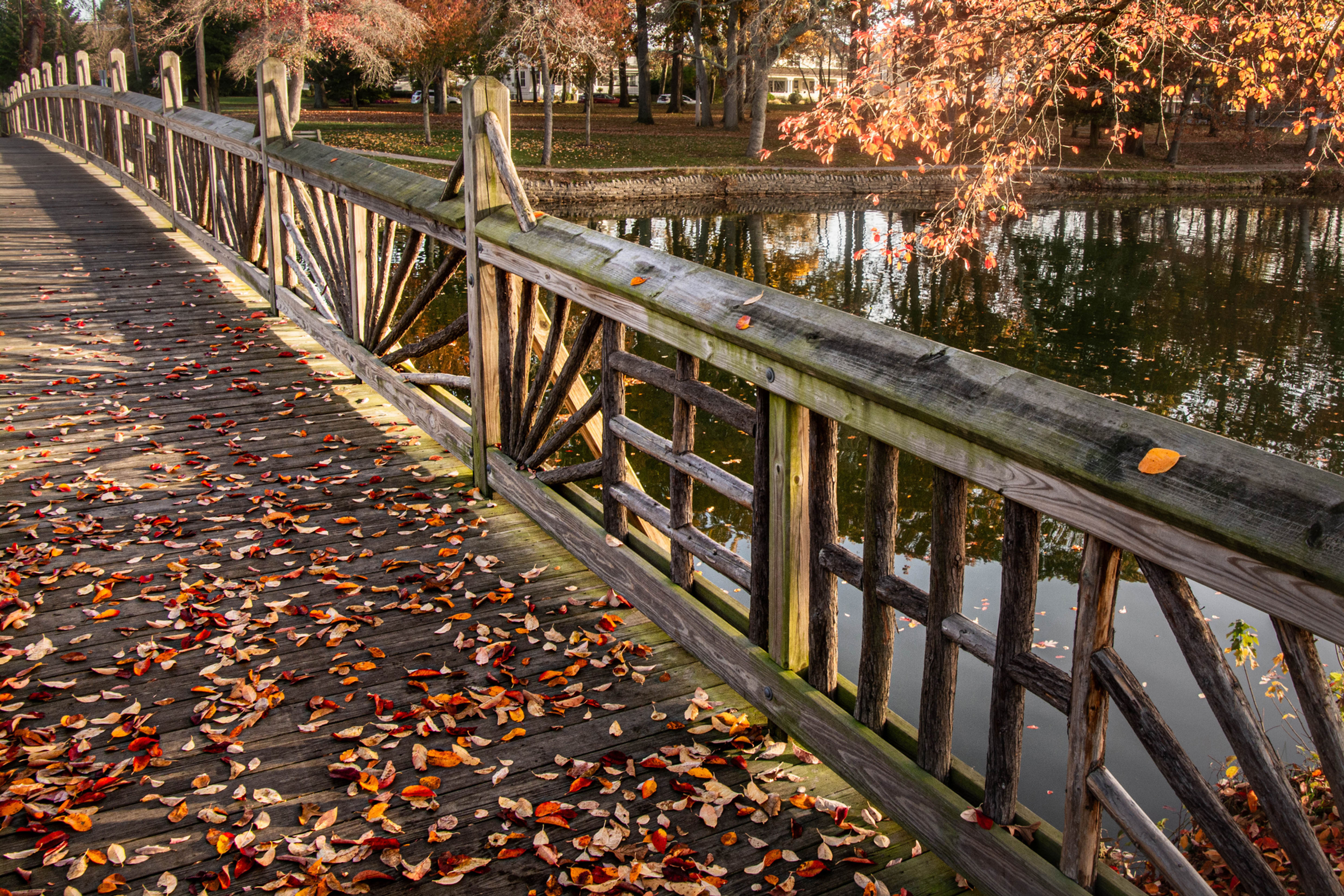 Divine Park Leaf Bridge