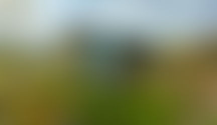 AIA/ALA Library Design Awards: Reinventing the Modern Library