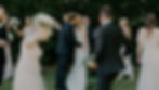 Bride and Groom wedding party