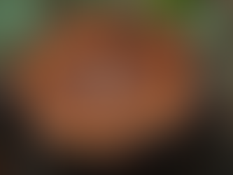 Why Pure Oud Oil from Vietnam Stands Out: Vietnamese Oud Oil Benefits