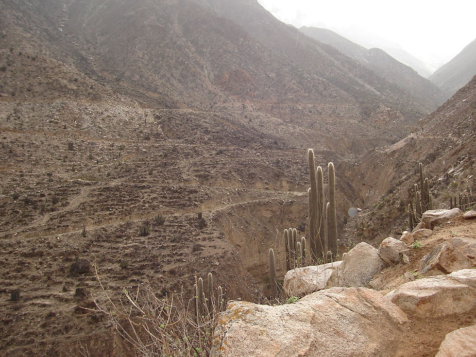 Propiedad de Consultora Andina EIRL. Todos los Derechos Reservados.