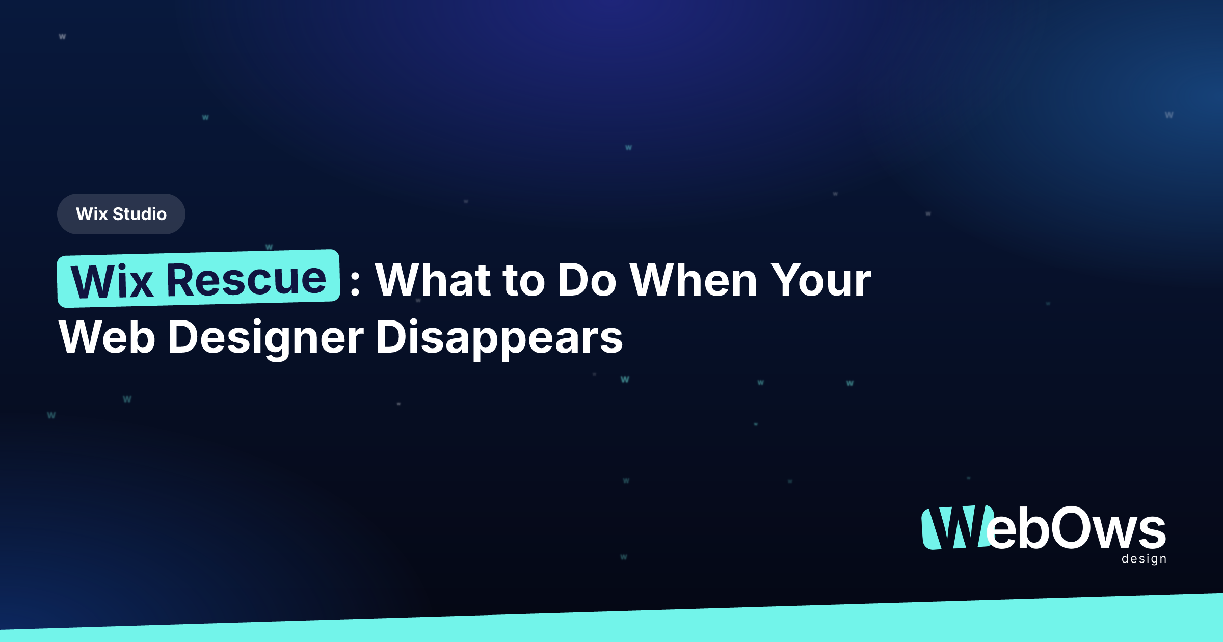 Wix Rescue: What to Do When Your Web Designer Disappears article by WebOws Design