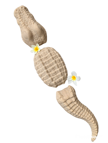 unnamed (2).png