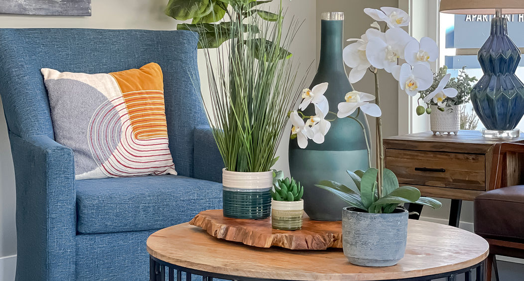 Coffee table and plants in leasing office