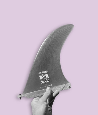 2a.jpg