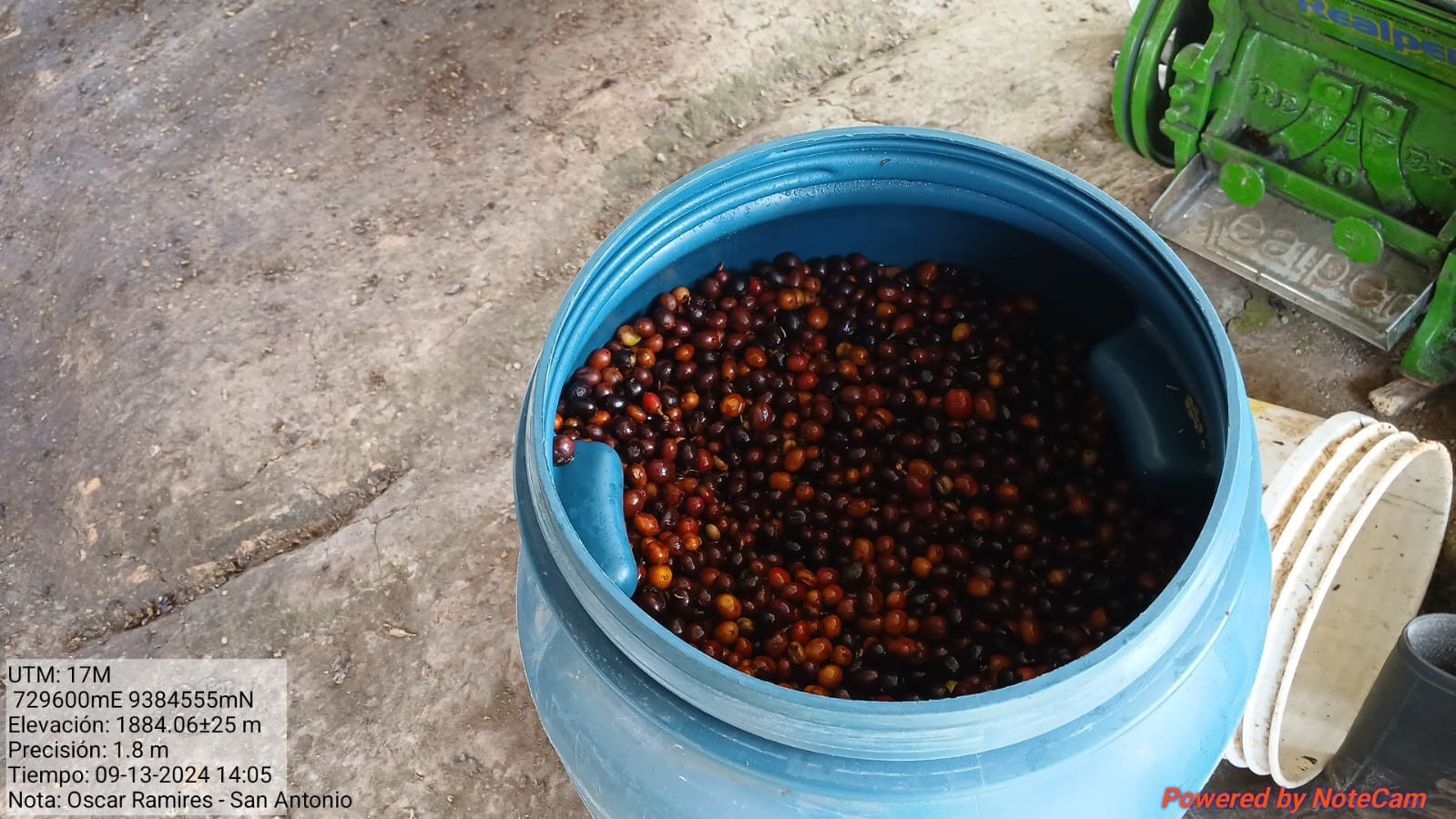Peru - San Antonio- Single Origin Coffee Beans | Natural Process
