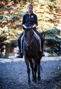 ©WeLoveHorsesPhoto_IMG_8210.jpg