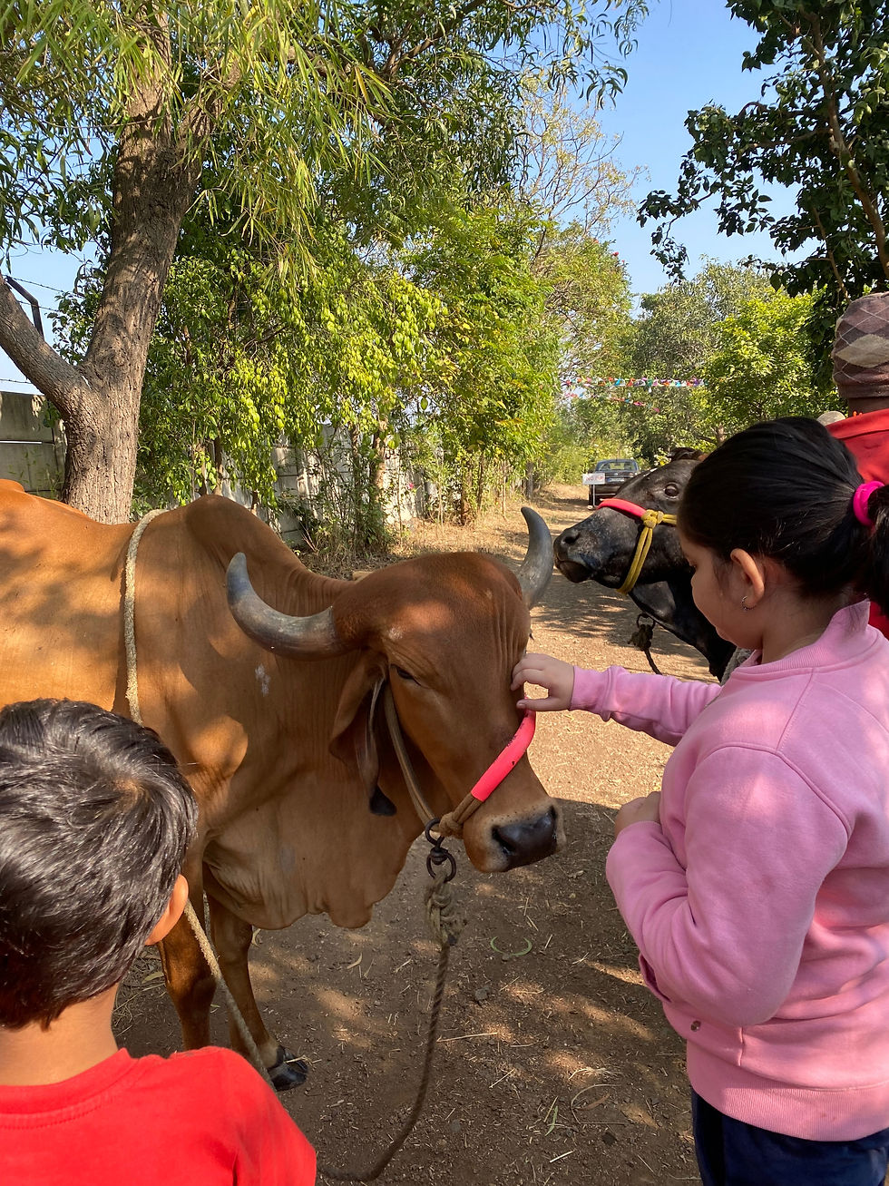 Kids playing cows at Yana