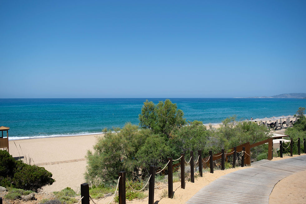 A photo of a wooden path surrounded by sand leading down to a beach. The path starts in the bottom right, and curves round until you can't see it anymore. It is surrounded by sand, and is lined by short dark brown wooden posts linked with rope. In the middle of the photo, there is a patch of green trees. The main focus of the image is a turquoise blue sea, and pale beach. There are some sun loungers visible, and a lifeguarding tower. Clear blue sky.