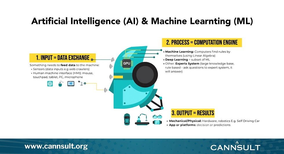 Artificial intelligence and machine learning