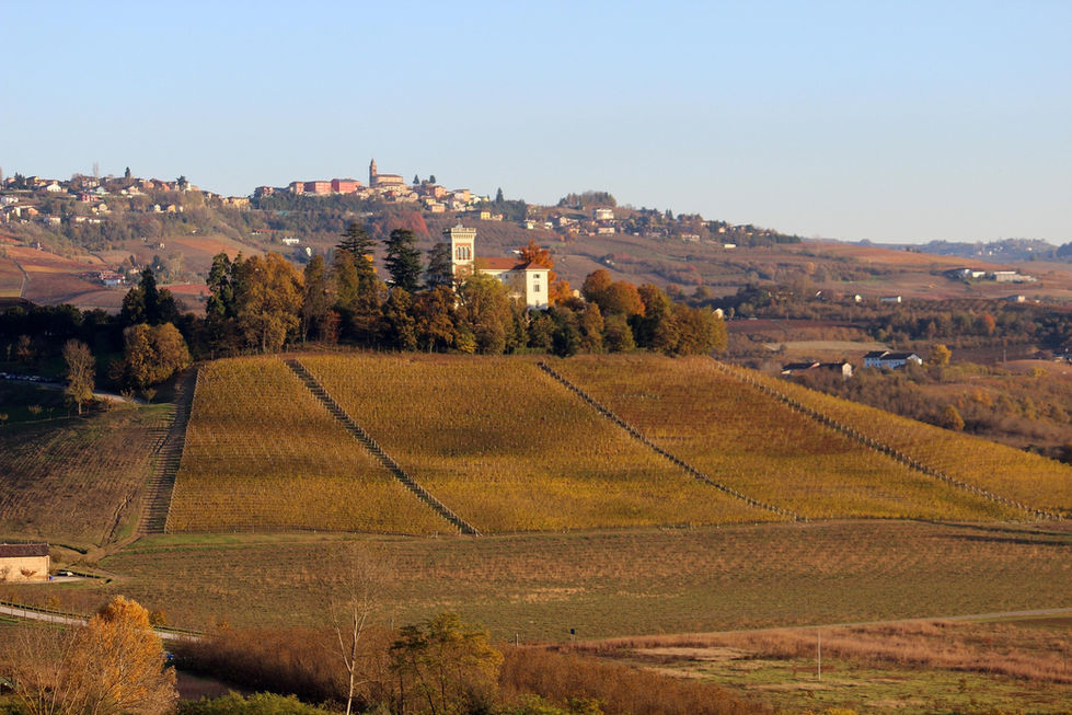 langhe-4836566_1920.jpg